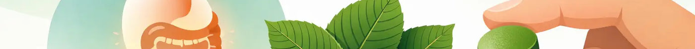 How Chewable Kratom Tablets Work